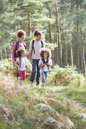 Family Group Hiking In Woods Togetherの写真素材