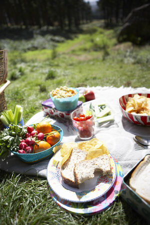 Picnic Food Laid Out On Blanketの写真素材