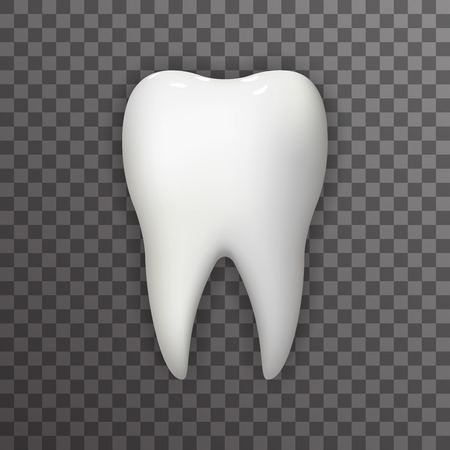 Realistic Tooth Poster Transperent Stomatology Icon Template Background Mock Up Design Illustrationのイラスト素材