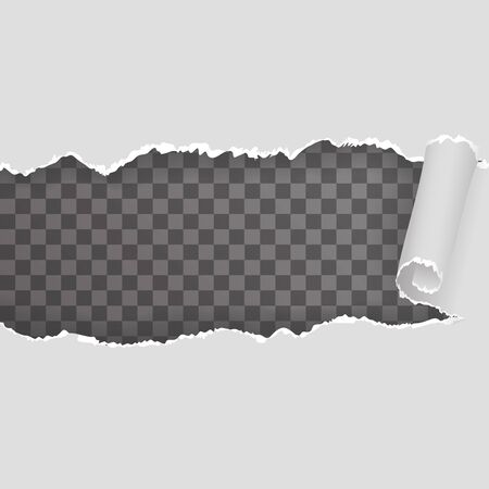 Torn ripped paper realistic seamless pattern transparent background vector illustrationのイラスト素材