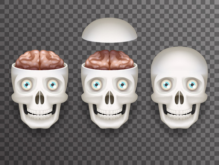Realistic human skull with eyes and brain isolated icons set 3d realistic mockup transparent background design vector illustrationのイラスト素材