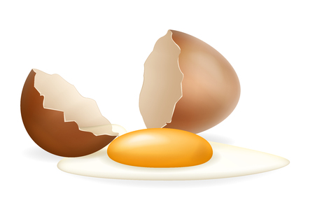 Broken eggs cracked open white yolk easter eggshell design 3d realistic icon isolated vector illustrationのイラスト素材