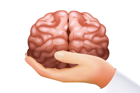 Hand holding human brain mind organ science concept isolated on white icon realistic design 3d template vector illustrationのイラスト素材
