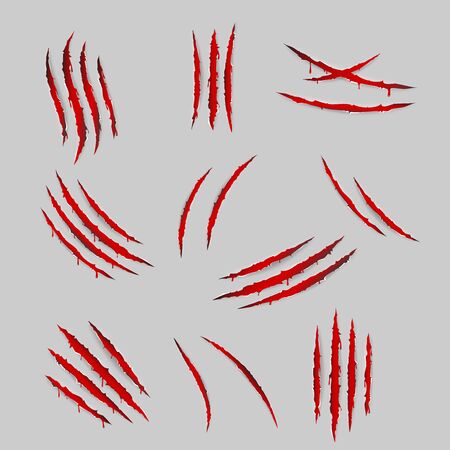 Bleeding scratches monster animal claws torn material blood set isolated design vector illustrationのイラスト素材