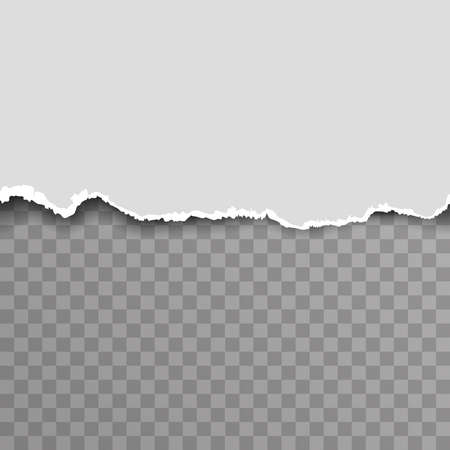 Torn paper ripped blank transparent background template advertising vector illustrationのイラスト素材