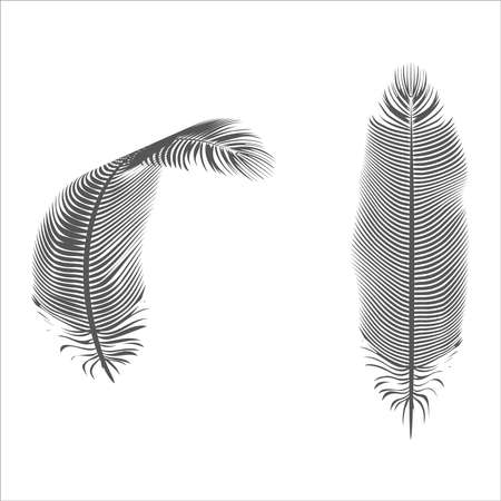 羽ペンの写真 イラスト素材一覧 50 361件 ストックフォトのamanaimages Plus