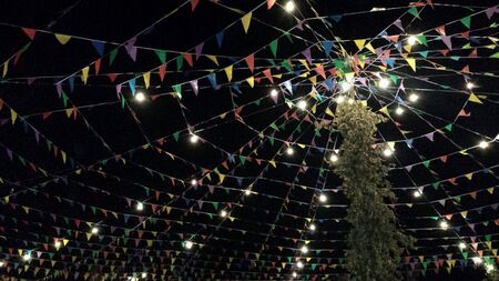 Party flags