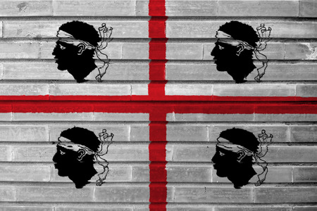 Flag of Sardinia vector in wallのイラスト素材
