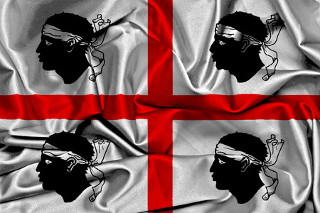Flag of Sardinia canvasのイラスト素材