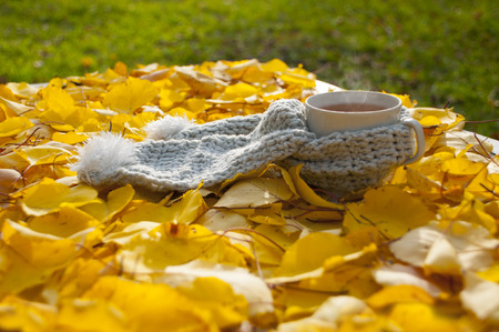 Autumn leaves and hot steaming cup of tea. Wooden table on backgroundの写真素材