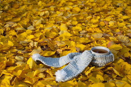 Autumn leaves and hot steaming cup of tea. Leaves background. Fall season, leisure time and cap of teaの写真素材