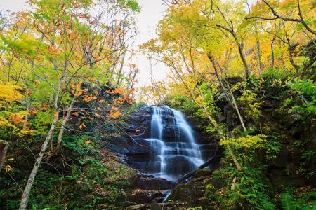 Oirase Stream in autumn at Towada Hachimantai National Park in Aomori, ,Tohoku, Japanの写真素材