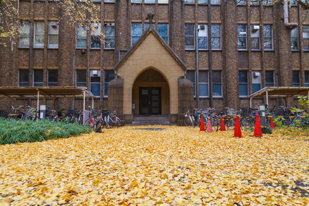 Autumn in Tokyo, Ginkgo tree with old building, Japanのeditorial素材