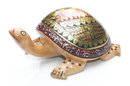 tortoiseの写真素材