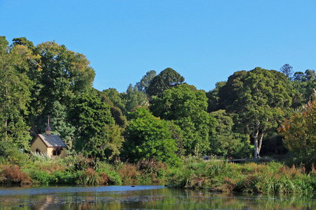 Cottage in the gardenの写真素材