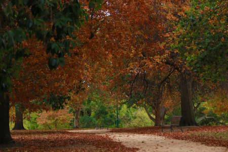 Autumn seasonsの写真素材