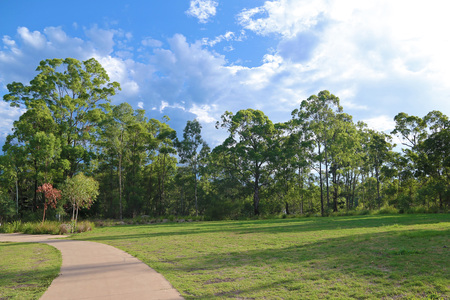 The way to forestの写真素材