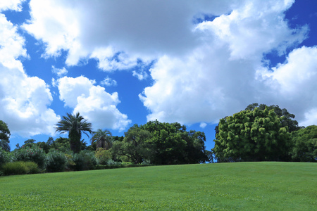 Greenfield and blue skyの写真素材