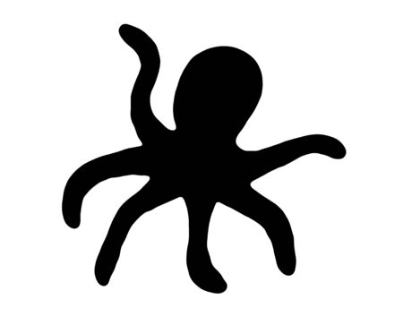 Octopusの写真素材