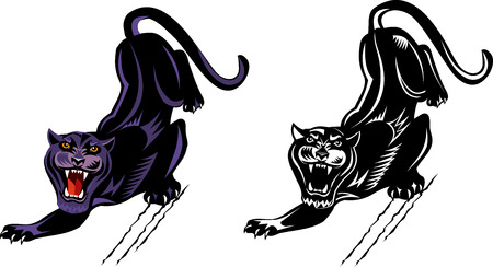 Black and white and color Pantherのイラスト素材