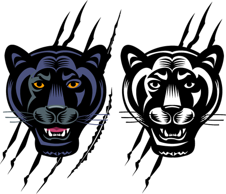 Black panther Tatooのイラスト素材