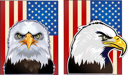 American eagle and flagのイラスト素材