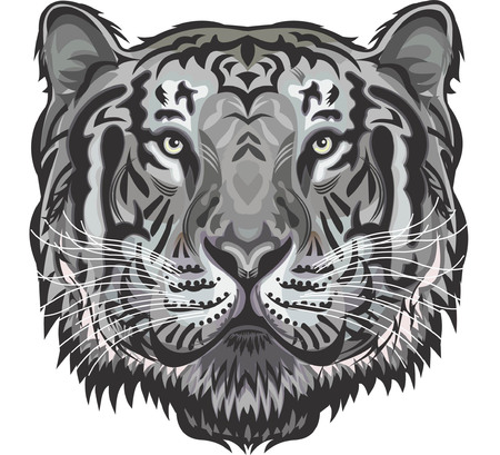 Tiger Faceのイラスト素材