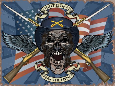 Skull and USA flag. Civil Warのイラスト素材