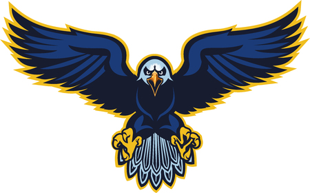 Bald American eagleのイラスト素材