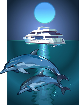 Dolphin and moon
のイラスト素材