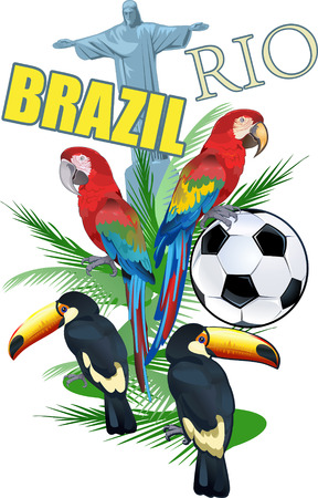 Brazil Red parrot macawのイラスト素材