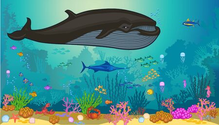 Sea fish and mammal setのイラスト素材