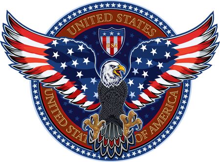 American eagle with USA flagsのイラスト素材