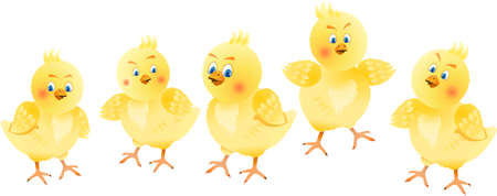 Yellow Easter chicken on a white backgroundのイラスト素材