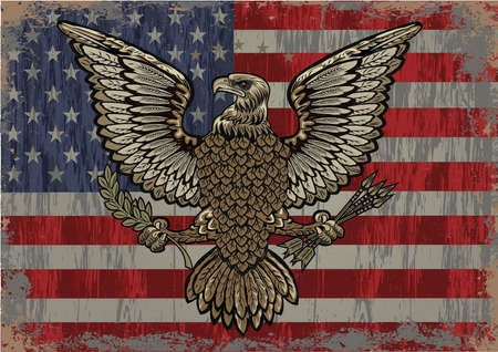 American Redoubtable  Eagle with USA flagsのイラスト素材