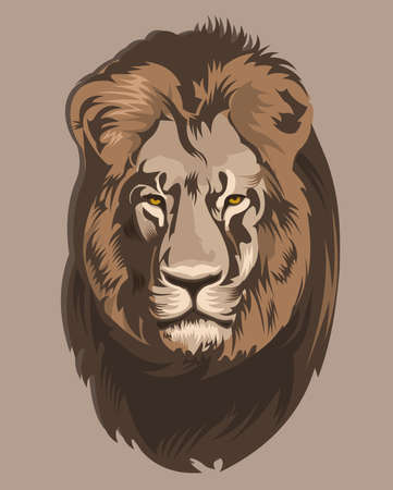 Portrait of a Beautiful lion, Lion king isolatedのイラスト素材