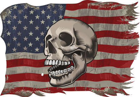 USA flag and skullのイラスト素材