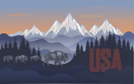 Buffalo - American Bison. Retro style illustrationのイラスト素材