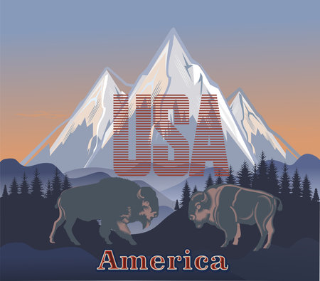 Buffalo - American Bison. USA flag. Word USAのイラスト素材