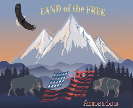 Buffalo - American Bison. USA flag. Word USAのイラスト素材