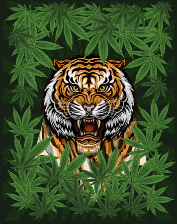 The Tiger Face in weed. Color Tattooのイラスト素材