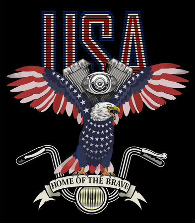 American eagle with USA flagsのイラスト素材