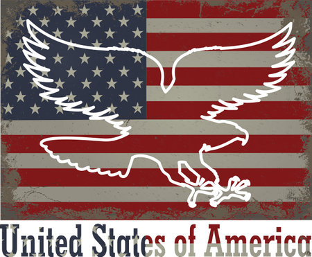 American eagle with USA flagsのイラスト素材