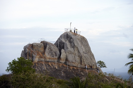 Landscape with rock in forestの写真素材