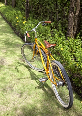 bicycles yellow in the parkの写真素材