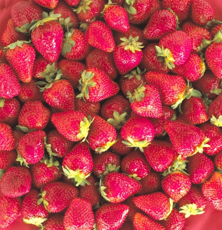 Strawberries with leaves  Isolated on  background の写真素材