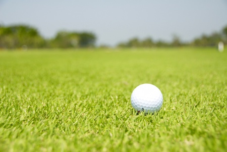 golf ball on tee and green grass as groundの写真素材