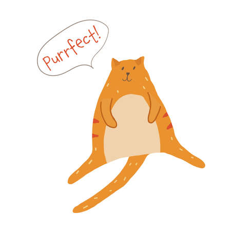Cute chubby cat sitting saying perfect vector illustrationのイラスト素材