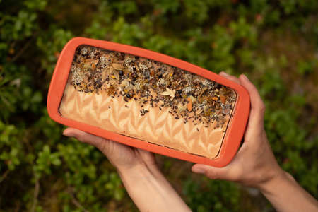 Fresh bar of natural soap in the forest