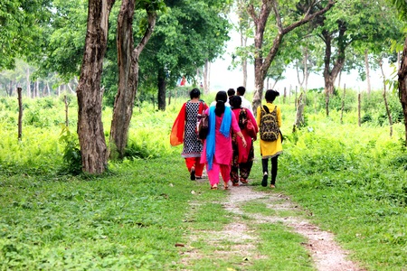 EXPLORE THE JUNGLE.の写真素材